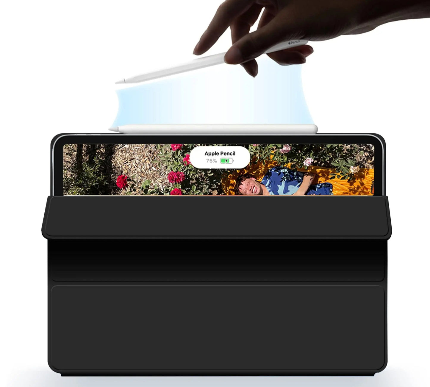MAGNETIC CASE